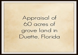 60 Acres Grove Land, Duette, FL
